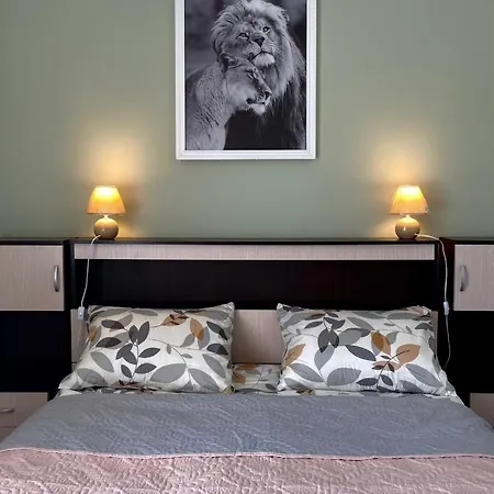 Holiday home De Luxe
